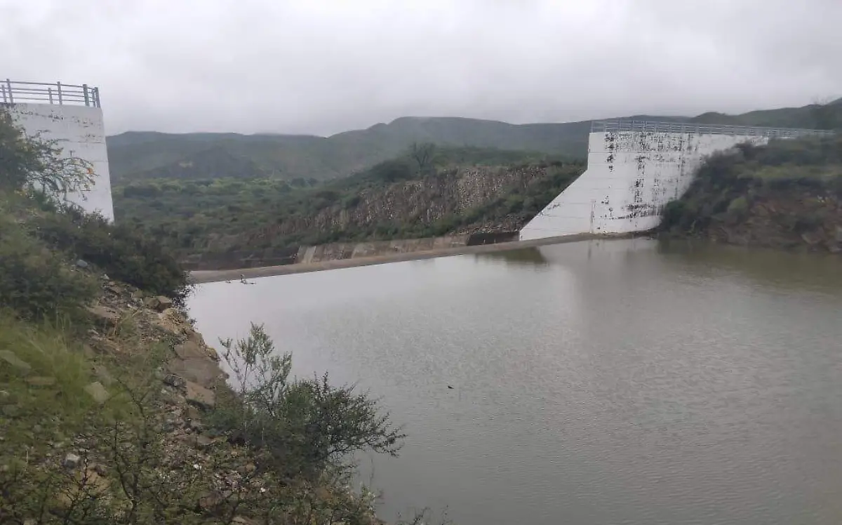 presa pico de aguila